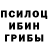 Галлюциногенные грибы Cubensis vor SKANDAL