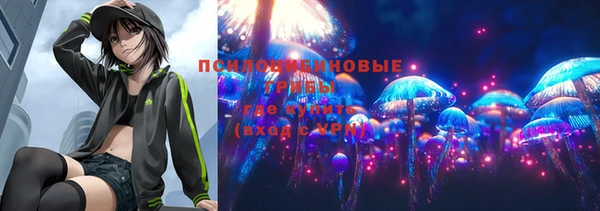соль ск Алексин