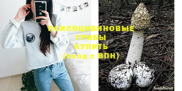 соль ск Алексин