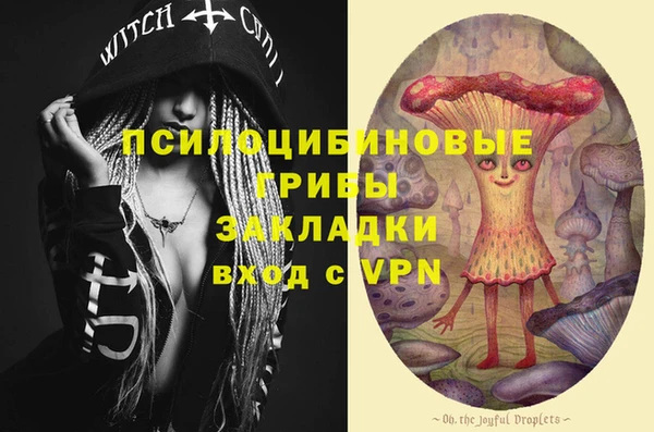 шишки Алзамай