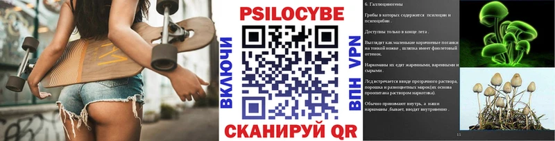 где можно купить наркотик  Тула  Галлюциногенные грибы Psilocybe 